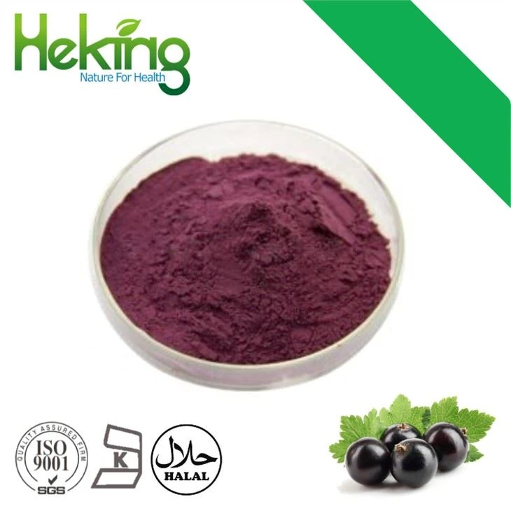 Black Currant Fruit Powder