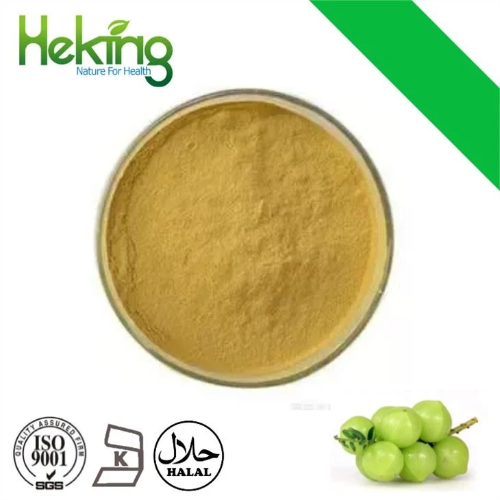 Phyllanthus Emblica Extract